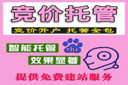 百度竞价托管公司案例分析：高效提升广告效果